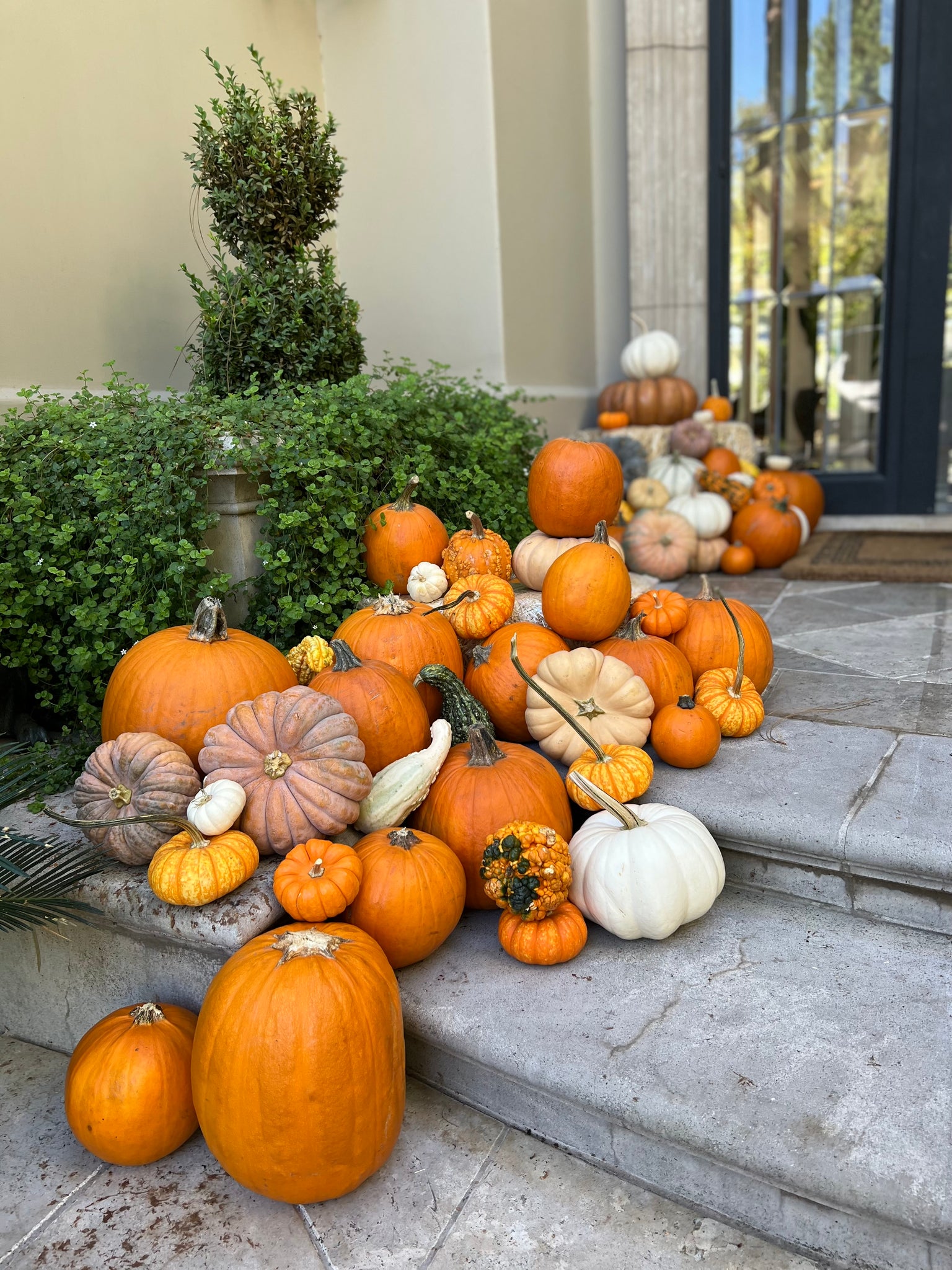 Grand Harvest